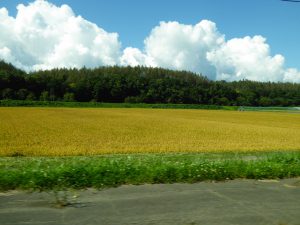 September 15, 2015 - (04) Way to Sapporo - 013