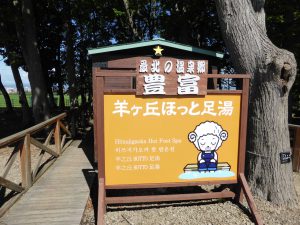 September 15, 2015 - (05) Hitsujigaoka Observation Hill - 004