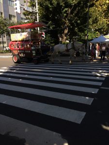 September 15, 2015 - (06) Sapporo - 001