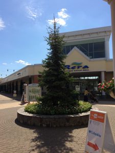 September 16, 2015 - (1) Shopping - 011