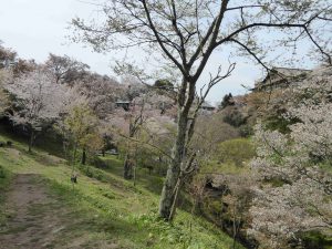 April-09-001