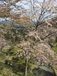April-09-004