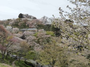 April-09-007