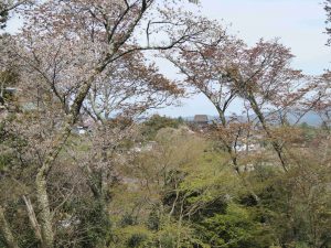 April-09-008