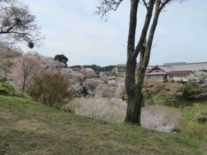 April-09-009