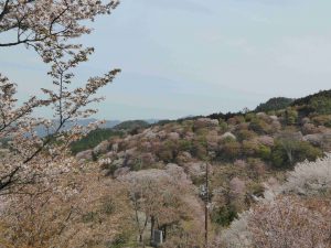 April-09-015