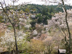 April-09-016
