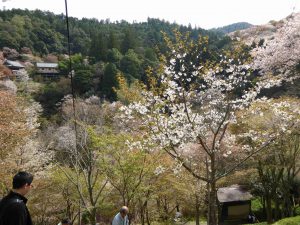 April-09-017