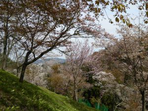 April-09-018