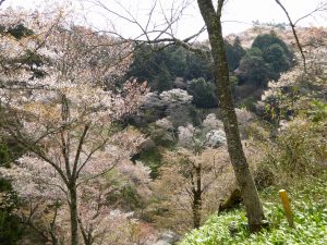 April-09-019