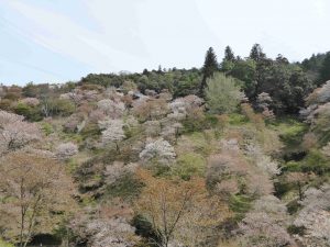 April-09-020