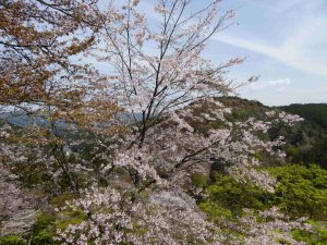 April-09-022