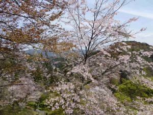 April-09-023