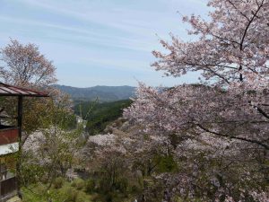 April-09-024