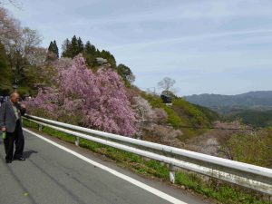 April-09-025