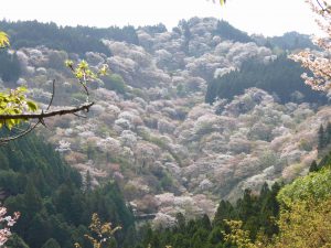 April-09-028