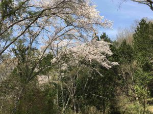 April-09-043