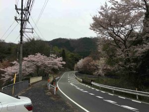 April-10-001