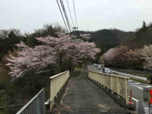 April-10-002