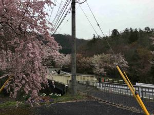 April-10-004