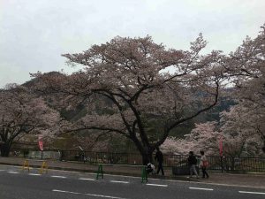 April-10-005
