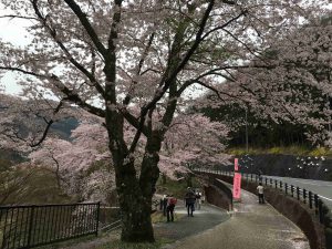 April-10-006