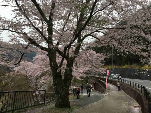 April-10-007