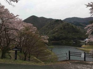 April-10-011