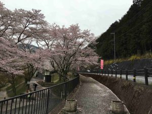 April-10-012