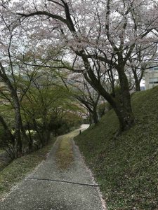 April-10-013