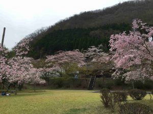 April-10-015