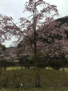 April-10-017