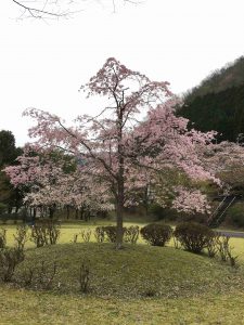 April-10-018