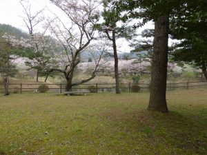 April-10-019