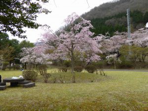 April-10-020