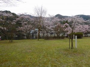 April-10-021