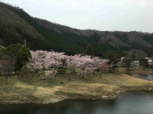 April-10-023