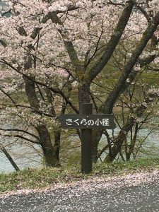 April-10-027