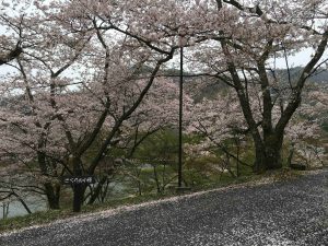 April-10-028