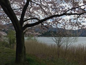 April-11-001