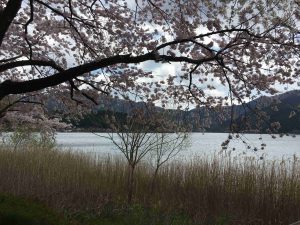 April-11-002