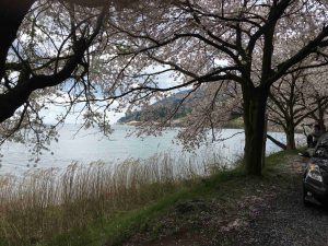 April-11-003