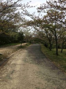 April-12-024