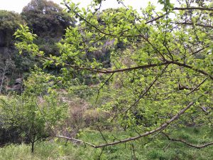 April-12-038