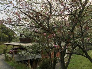 April-12-039
