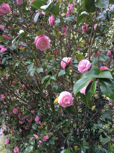 April-12-058
