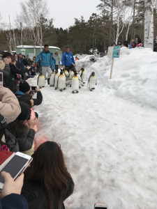 Hokkaido-1703-026
