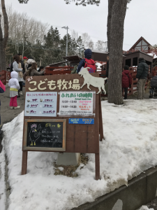 Hokkaido-1703-045