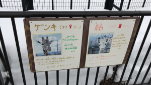 Hokkaido-1703-055