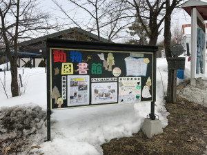Hokkaido-1703-059